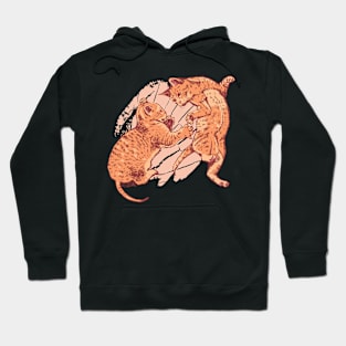 Kittens playing - wild scuffle among kittens Hoodie